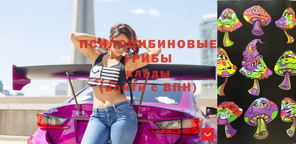 кокс Бородино